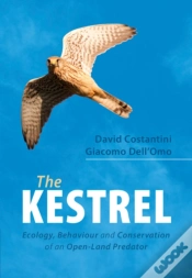 Capa do artigo Kestrel