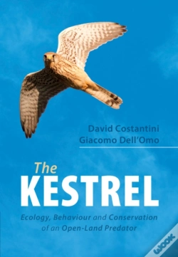 Capa do artigo Kestrel