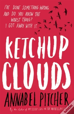Capa do artigo Ketchup Clouds