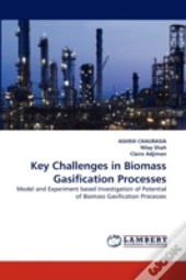 Key Challenges In Biomass Gasification Processes