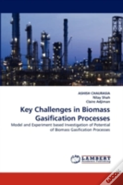 Capa do artigo Key Challenges In Biomass Gasification Processes