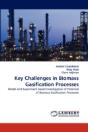Key Challenges In Biomass Gasification Processes - Preview