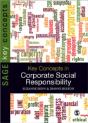Key Concepts In Corporate Social Responsibility - Preview