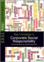 Key Concepts In Corporate Social Responsibility - Preview
