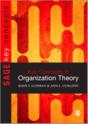 Key Concepts In Organization Theory - Preview
