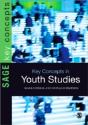 Key Concepts In Youth Studies - Preview