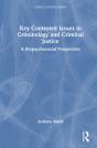 Key Contested Issues In Criminology And Criminal Justice - Preview