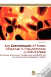 Capa do artigo Key Determinants Of Stress Response In Pseudomonas Putida Kt2440