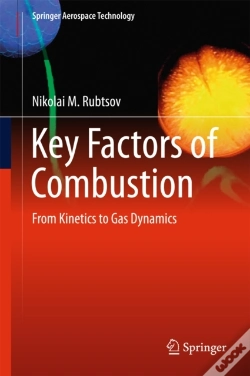 Capa do artigo Key Factors Of Combustion