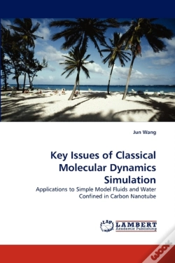 Capa do artigo Key Issues Of Classical Molecular Dynamics Simulation