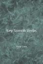 Key Somali Verbs - Preview