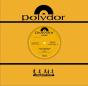 Keying Lamborghinis - Vinil - Preview