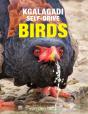 Kgalagadi Self-Drive Birds - Preview