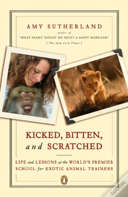 Capa do artigo Kicked, Bitten, And Scratched