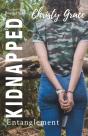 Kidnapped Entanglement - Preview