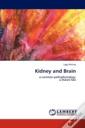 Kidney And Brain