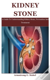 Capa do artigo Kidney Stone
