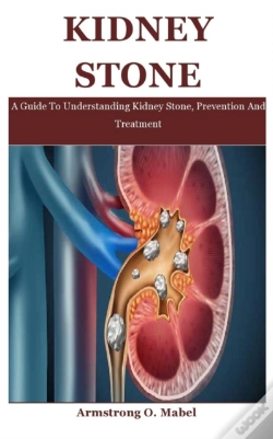 Capa do artigo Kidney Stone