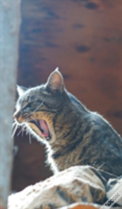 Capa do artigo Kid'S Petite Barn Cat Journal - Volume Two