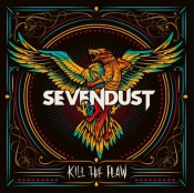 Capa do artigo Kill the Flaw - CD