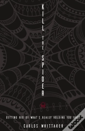 Capa do artigo Kill The Spider