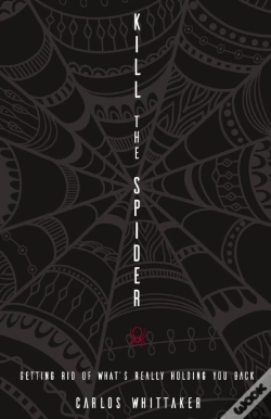 Capa do artigo Kill The Spider
