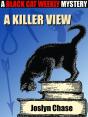 Killer View - Preview