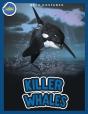 Killer Whales Ages 4-8 - Preview