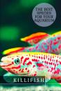 Killifish - Preview