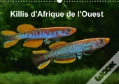 Killis D Afrique De L Ouest Calendrier Mural 2018 Din A3 Horizontal