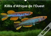 Capa do artigo Killis D Afrique De L Ouest Calendrier Mural 2018 Din A3 Horizontal