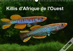 Capa do artigo Killis D Afrique De L Ouest Calendrier Mural 2018 Din A3 Horizontal