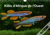 Killis D Afrique De L Ouest Calendrier Mural 2018 Din A4 Horizontal