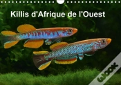 Capa do artigo Killis D Afrique De L Ouest Calendrier Mural 2018 Din A4 Horizontal