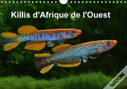 Capa do artigo Killis D Afrique De L Ouest Calendrier Mural 2018 Din A4 Horizontal
