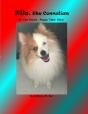 Kilo, The Comedian - Preview