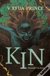 Capa do artigo Kin