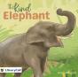 Kind Elephant - Preview