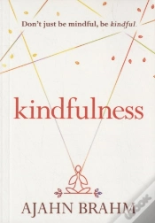 Capa do artigo Kindfulness
