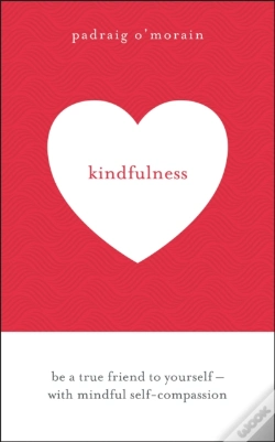 Capa do artigo Kindfulness