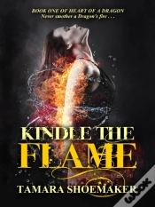 Capa do artigo Kindle The Flame