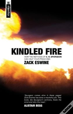 Capa do artigo Kindled Fire