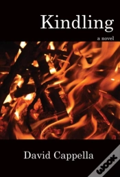 Capa do artigo Kindling