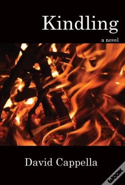Capa do artigo Kindling