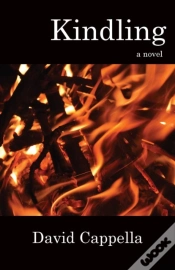 Capa do artigo Kindling