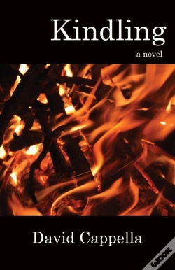 Capa do artigo Kindling