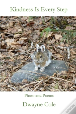 Capa do artigo Kindness Is Every Step