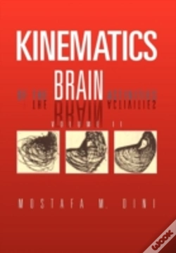 Capa do artigo Kinematics Of The Brain Activities