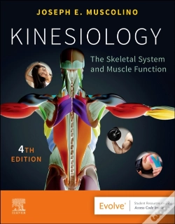 Capa do artigo Kinesiology