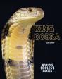 King Cobra - Preview